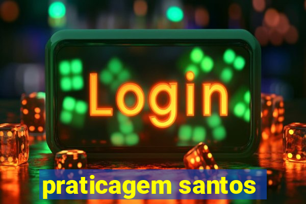 praticagem santos